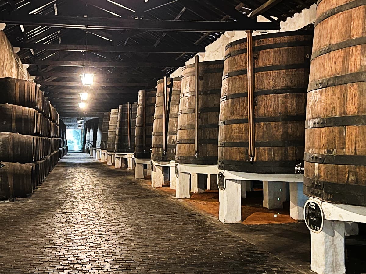 Portweinkeller Tour in Porto: Die besten Weinkeller, Verkostungen und Tipps für dein unvergessliches Erlebnis in Vila Nova de Gaia