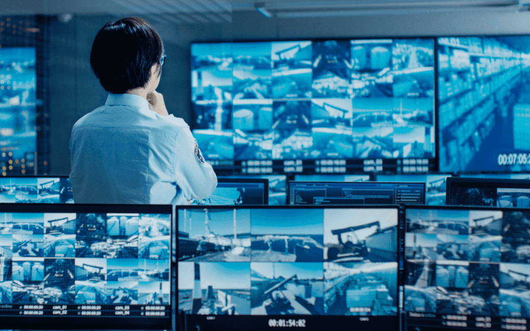 Video überwachungssysteme und Privatsphäre: Ein Balanceakt